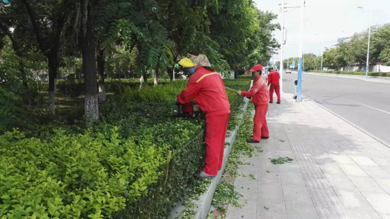 物业管理行业的新趋势：丹盛物业如何引领潮流?
